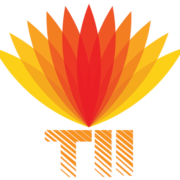 Trent International Institute